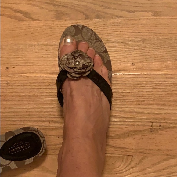 Coach Floral Slides Sz 10 worn once. - Picture 8 of 8